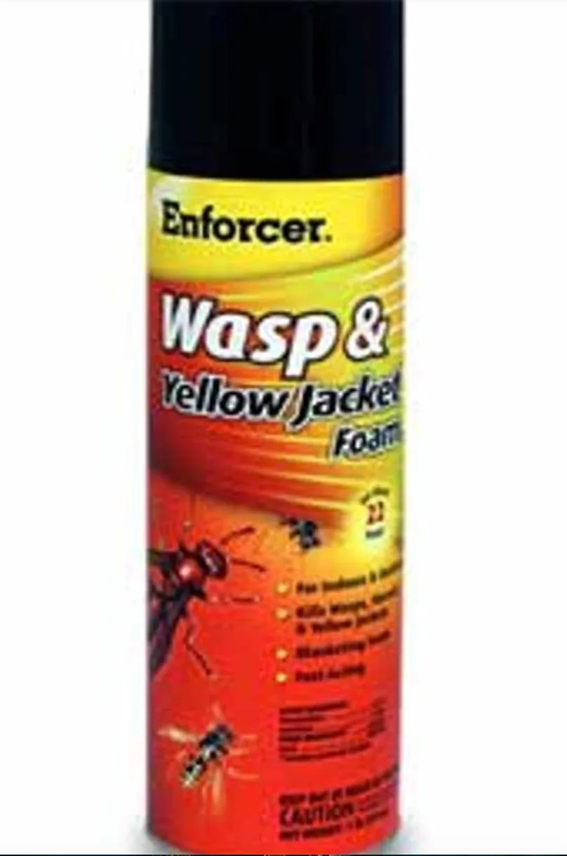 Enforcer: Wasp & Yellow Jacket Foam 12/Cs