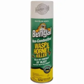 Non-Conductive Wasp & Hornet Killer, 15-oz. Aerosol